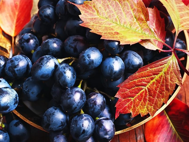 Elegant Fall Wedding Decoration Design Ideas